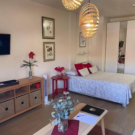 Apartamento Acogedor Y Centrico - Plaza Del Charco プエルト・デ・ラ・クルス エクステリア 写真